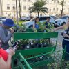 Feira de Mudas – Vasinhos esgotam em tempo recorde!